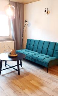 Ferienwohnung Pension Reimann Zwethau - Zwethau - 4