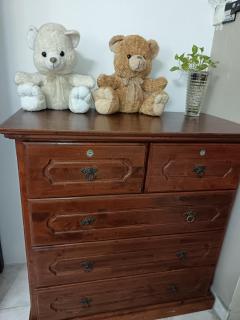 Bdr Bukit Tinggi Klang Tropicana Garden Homestay - 5