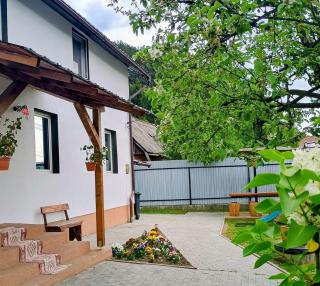 Casa MATEO - Topliţa - 9