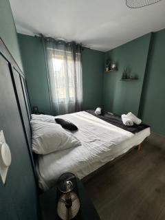 L Elegant Cozy Plein Centre - Saint-Avertin - 9