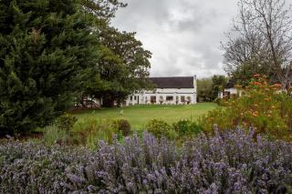 Leipzig Country House & Winery - Nuy - 3