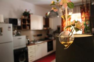 Flower - Trani - 4