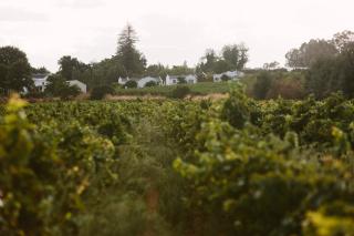 Leipzig Country House & Winery - Nuy - 2