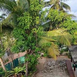 Rumassala Heritage Villa - Unawatuna - 2