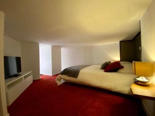 LE LOFT des Charmettes - Lyon - 1