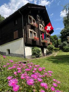 Chalet Piumogna - Faido - 8