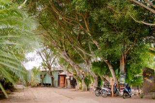 Lala Garden Homestay - - 9