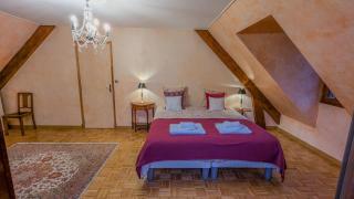 Gîte Le Grand Albizia - Cellettes - 3