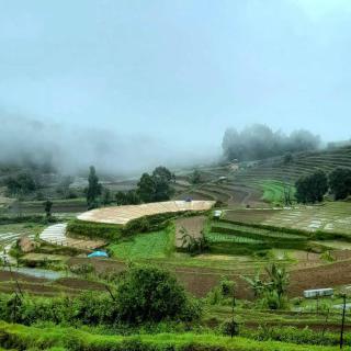 Anthi Veedu Poondi - Kottakamboor - 0