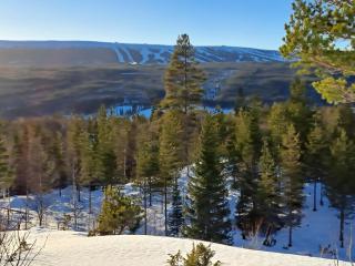 Mysig lägenhet med fjällutsikt i Sälen - Sälen - 8