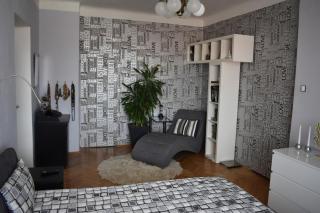 amazing apartment in city center for great price - 0