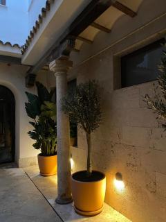 VELALMA-CERON Edificio exclusivo de apartamentos turisticos en Centro histórico - Jaén - 7