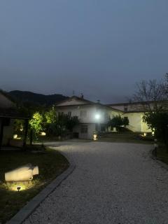 Tenuta degli Uliveti - 1