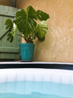 Maison de centre ville avec jacuzzi - Nîmes - 4