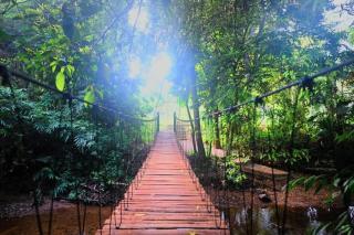 Pahiyan Huts by Luxuryexperience. - 5