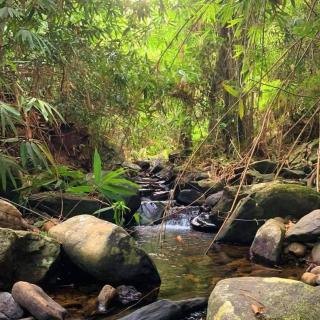 Pahiyan Huts by Luxuryexperience. - 3