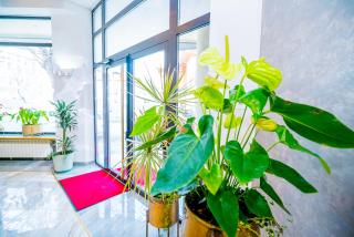 Guci Hotel - Constanza - 8