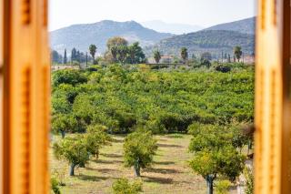 Two beautiful rooms & 1 large Patio - 1
