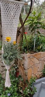 Welcome to Vicky's house - Nisakion - 6