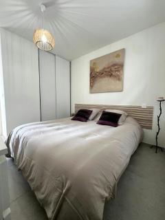 F2 4 pers - Clim - Parking - SPA - 10min Arles - Arles - 5