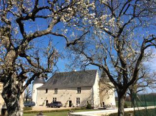Unique outbuildings of a medieval Loire castle - Marçay - 7