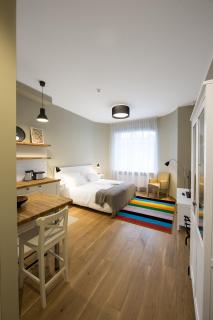 Riga Lux Apartments - Skolas - Riga - 6