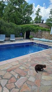 Villa les ouliveiredo - Tourves - 0