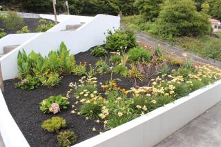 Freistehendes Haus Mit Terrasse Und Meerblick - - 8