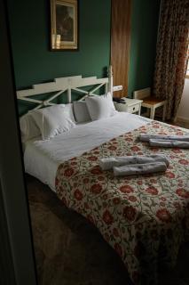 Nuevo Hotel Parque Cabaneros - Horcajo de los Montes - 5