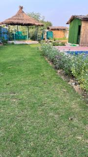 Brasa farm - Gurgaon - 6