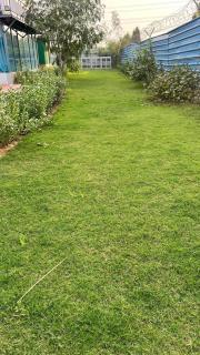 Brasa farm - Gurgaon - 2