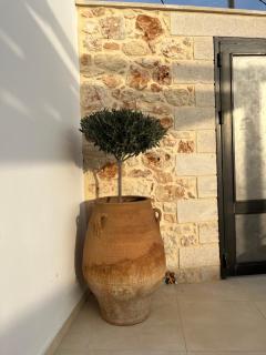 Villa Cisternis - 6