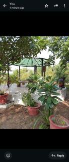 Gift city farm house - Gandhinagar - 6