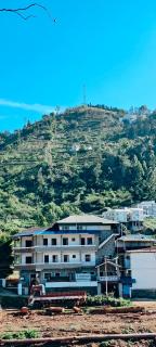 Tree Elanza, Unit of Santhi Ayurvedic Resort - 9