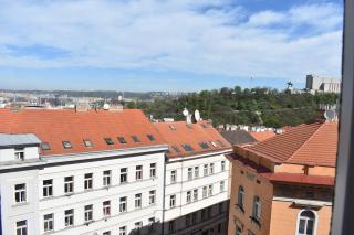amazing apartment in city center for great price - Prague - 7