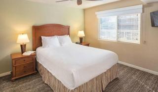 Resort 2BD condo with great amenities like mini golf, playground, pools - 4