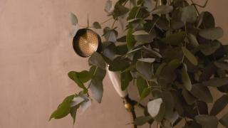VENDOME Parisian elegance with a patio - Parigi - 2