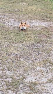 Hermit 知床 - Shari - 3