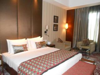 Hotel EBONY SUITES Near Delhi Airport BY GROSS GROUP - 4