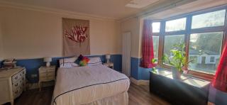 Large & Colourful Family 4BD with Kids Playground - Dublin - 6