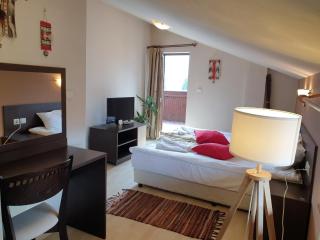 Banderitsa Apartments by BookVillaBG - Bansko - 5