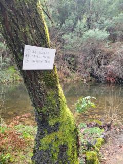 CHALÉ, Pedra, Isolada, Natureza, Rio - Ecoturismo - 3