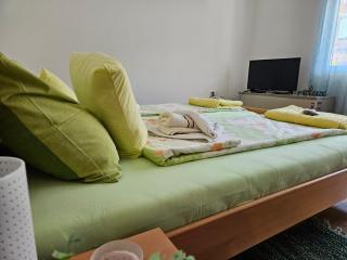 Sokobanja Smeštaj Pavlović & privatan parking - 5