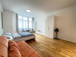 Cosy apartment on Charles Square - Prague - 8