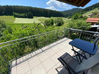 Gemütliche Ferienwohnung In Baiersbronn - Baiersbronn - 9