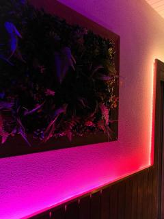 Le Cocon Rose Jacuzzi privé rêve et Douceur - 1