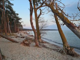Ferienhaus zum Kranichblick - Garz-Rügen - 5