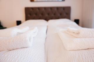 The Daily Nest - Niš - 4