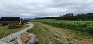 SUDKOVO - Barrel glamping - 2
