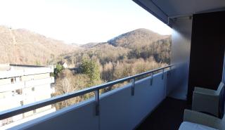Panorama Apartment - Bad Harzburg - 2